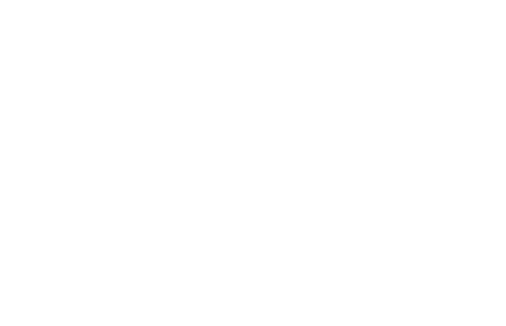Cliente Borgo Chic Logo Borgo Chic